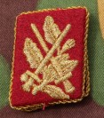 yu597ds.jpg (49136 bytes)