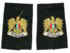 syrsb20s.jpg (53497 bytes)