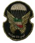 iran20s.jpg (54722 bytes)